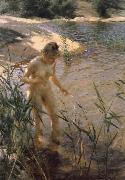 Reflexer (Reflexions) Anders Zorn